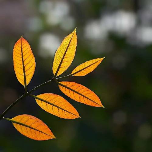 وقتی میشکنم با من میشکنی صدام که میکنی جانم میشنوی